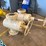 (2x$)-7-1/16”-10k-frac-valves,-field-ready-image-1