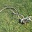 ace-540-pto-sprayer-pump-w/hose-image-6