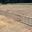 40'-aluminum-extension-ladder-image-1