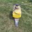 brinkley-pull-behind-sprayer-image-7