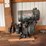 1.5-h.p.-lauson-engine-image-3