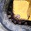 2021-caterpillar-239d3-image-31