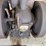 bean-special-cub-3-hp-engine-image-12
