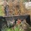 loader-with-bucket-to-fit-new-holland-tn-image-2