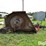 land-pride-5615-15'-shredder-image-4