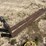 skid-steer-forks-image-2