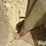 herd-2440-image-16