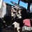 2007-western-star-4900-image-7