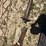 gooseneck-ball-hitch-adapters-image-2