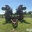case-ih-200-image-2