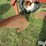 international-800-image-19