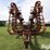 krause-4260-image-2