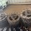 chicken-tracker-closing-wheels-(set-of-16)-image-2