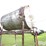 560-gal-fuel-tank-on-stand-image-14