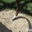 hesston-2540-image-15