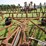 crustbuster-36'-hydraulic-fold-springtooth-w/3-bar-harrow-image-15
