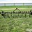 john-deere-15-image-6