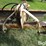 big-ox-10'-rear-mounted-blade-image-9