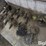 row-openers-image-1