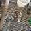misc.-tools-&-supplies-image-3
