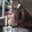 2017-peterbilt-320-image-24