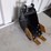 i-ranch-mini-excavator-20cm-tooth-bucket-image-2