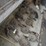 row-openers-image-5