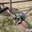 grain-king-10"-x-30'-auger-image-18