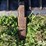 80"-skid-steer-grapple-bucket-image-18