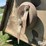 bush-hog-2615-image-10