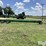 2022-stud-king-38-header-trailer-image-4