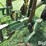 john-deere-825-image-15