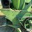 john-deere-e0750-grinder-mixer-image-15