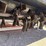 2026-sdlool-lm1000q-rc-flail-mower-image-9