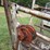 shop-built-loading-chute-image-19