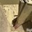 herd-2440-image-15