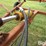 crustbuster-front-fold-rotary-hoe-image-11