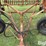 crustbuster-front-fold-rotary-hoe-image-10