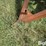 sprayer-tank-on-trailer-image-9