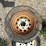 #31637-•-lot-of-(2)-5.30-12-tire-w/-rims-inv#-31637-image-2