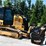 2020-caterpillar-d3k2-xl-image-31
