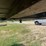 2017-wilson-psdcl-402-image-26