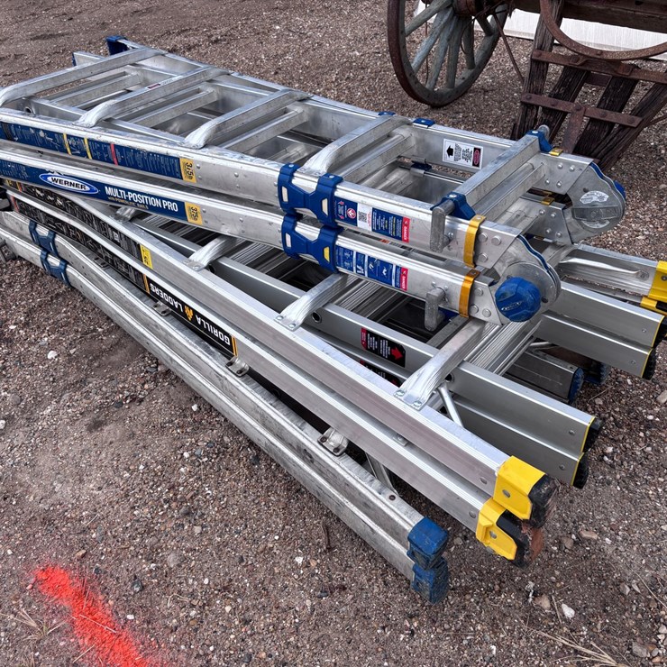 #39366 • (3) EXTENDABLE LADDERS