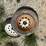 #31637-•-lot-of-(2)-5.30-12-tire-w/-rims-inv#-31637-image-3