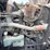 2019-international-rh613-t/a-wet-kit-day-cab-truck-tractor-image-8