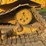 2018-caterpillar-d6t-lgp-image-6
