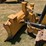 2023-caterpillar-d1-image-7