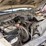 2011-ford-f250-image-8