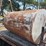 250-gallon-gravity-flow-fuel-tank-with-stand-image-1