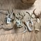 clem-mikeska-collection-auction-image-2